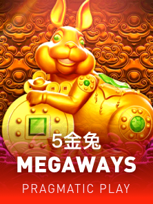 5 金兔